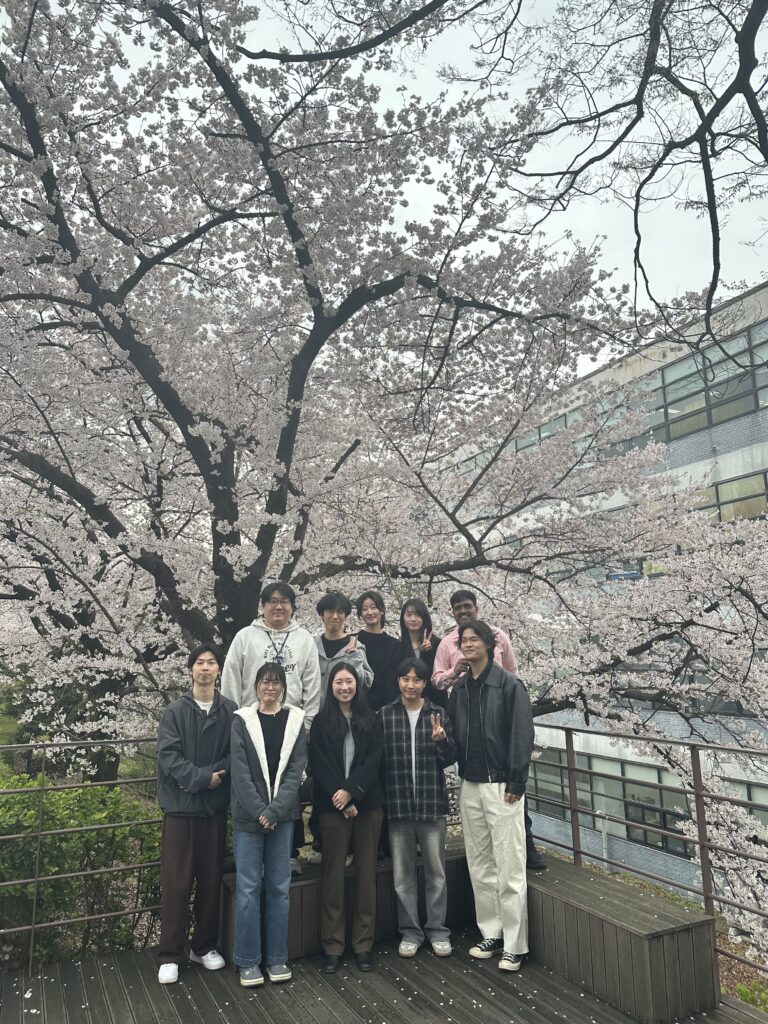 260406_벚꽃사진 1
